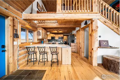 113 Purple Mountain Ct, Livermore, CO 80536 - Photo 10