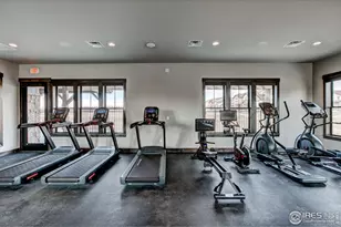 6233 Vernazza Way, Windsor, CO 80550 - Photo 28