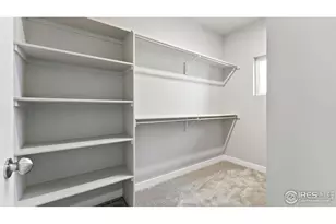 6780 Maple Leaf Dr, Timnath, CO 80547 - Photo 18