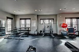 6228 Vernazza Way, Windsor, CO 80550 - Photo 28