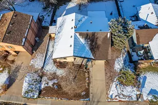 14 Daisy Ct, Windsor, CO 80550 - Photo 40