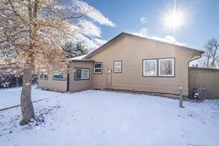 14 Daisy Ct, Windsor, CO 80550 - Photo 42