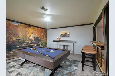 14 Daisy Ct, Windsor, CO 80550 - Photo 30