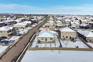 501 Buckrake St, Severance, CO 80550 - Photo 38