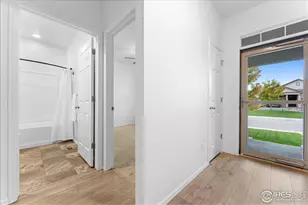 501 Buckrake St, Severance, CO 80550 - Photo 8