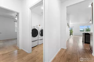 501 Buckrake St, Severance, CO 80550 - Photo 24