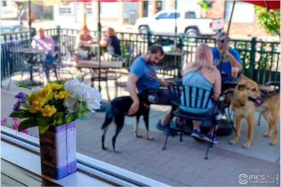 8060 Niwot Rd #66, Niwot, CO 80503 - Photo 14