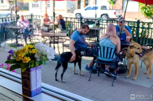 8060 Niwot Rd, Niwot, CO 80503 - Photo 14