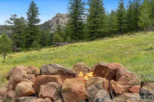 241 Deadhorse Mountain Ct, Livermore, CO 80536 - Photo 42