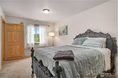 241 Deadhorse Mountain Ct, Livermore, CO 80536 - Photo 24