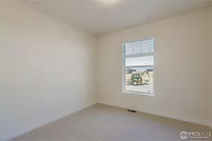 1829 Flourish Dr, Windsor, CO 80550 - Photo 22