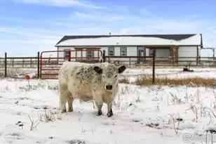 51880 Co Rd 33, Nunn, CO 80648 - Photo 44