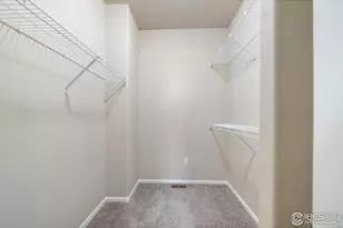 1319 Chamois Dr, Severance, CO 80550 - Photo 26