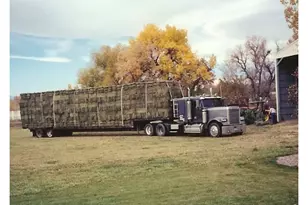 13155 N 75th St, Longmont, CO 80503 - Photo 44