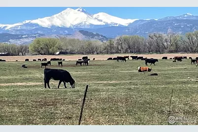 13155 N 75th St, Longmont, CO 80503 - Photo 6