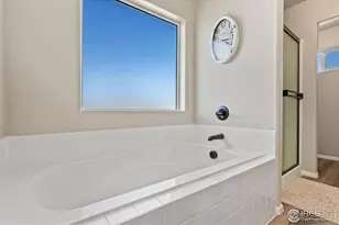 902 Maplebrook Dr, Windsor, CO 80550 - Photo 26