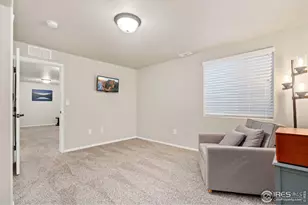 902 Maplebrook Dr, Windsor, CO 80550 - Photo 34