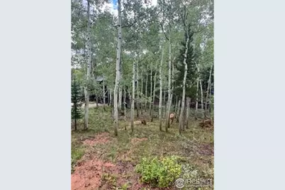 100 Santee Ct, Red Feather Lakes, CO 80545 - Photo 26