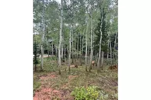 100 Santee Ct, Red Feather Lakes, CO 80545 - Photo 26