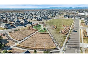 2004 Thundercloud Dr, Windsor, CO 80550 - Photo 24