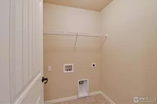 360 Bluegrass St, Eaton, CO 80615 - Photo 24