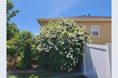701 62nd Ave Ct, Greeley, CO 80634 - Photo 50