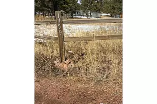 1759 Arapahoe Dr, Florissant, CO 80816 - Photo 2