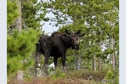 3086 Fox Acres Dr E, Red Feather Lakes, CO 80545 - Photo 20