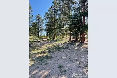 3086 Fox Acres Dr E, Red Feather Lakes, CO 80545 - Photo 10