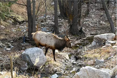 416 Black Creek Dr, Glen Haven, CO 80532 - Photo 2
