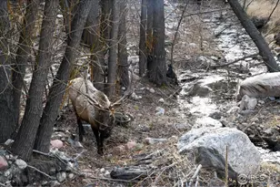 416 Black Creek Dr, Glen Haven, CO 80532 - Photo 1