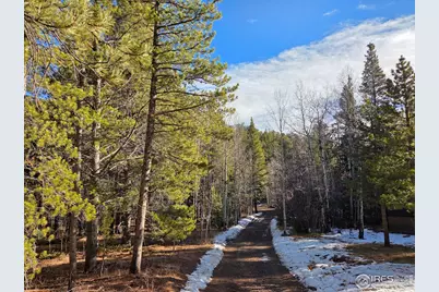 2332 Big Owl Rd, Allenspark, CO 80510 - Photo 6