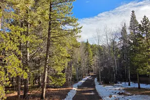 2332 Big Owl Rd, Allenspark, CO 80510 - Photo 6