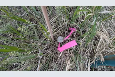 1191 Eiger Rd, Livermore, CO 80536 - Photo 14