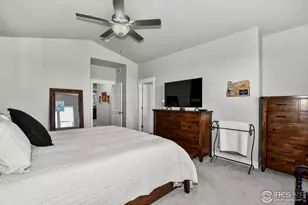 6245 Vernazza Way, Windsor, CO 80550 - Photo 22