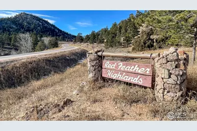 238 Springmeadow Way, Red Feather Lakes, CO 80545 - Photo 24