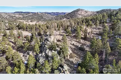 238 Springmeadow Way, Red Feather Lakes, CO 80545 - Photo 38