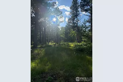 187 Lynx Dr, Ward, CO 80481 - Photo 42