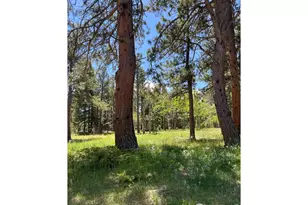 187 Lynx Dr, Ward, CO 80481 - Photo 40