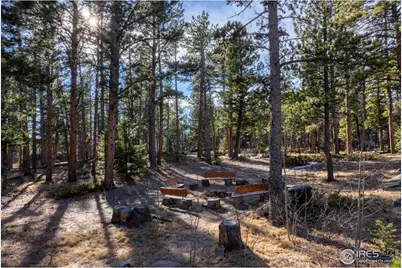 187 Lynx Dr, Ward, CO 80481 - Photo 40