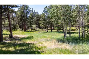 187 Lynx Dr, Ward, CO 80481 - Photo 4