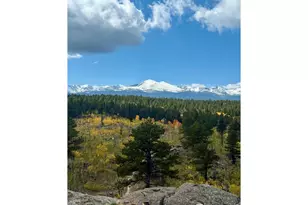 187 Lynx Dr, Ward, CO 80481 - Photo 50