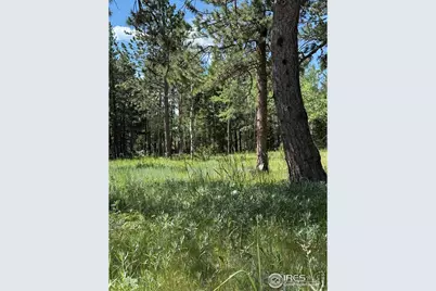 187 Lynx Dr, Ward, CO 80481 - Photo 38