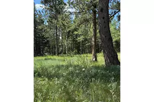 187 Lynx Dr, Ward, CO 80481 - Photo 38