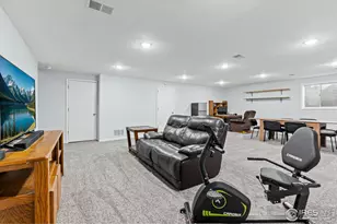 27381 Hopi Trail, Loveland, CO 80534 - Photo 46