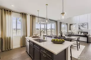 598 Noola St, Windsor, CO 80550 - Photo 14