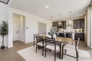 598 Noola St, Windsor, CO 80550 - Photo 10