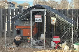 615 Campbell St, Kersey, CO 80644 - Photo 18