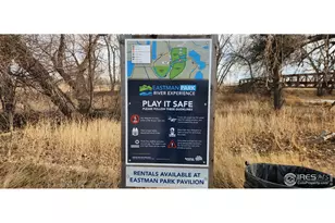 924 Larch Dr, Windsor, CO 80550 - Photo 38