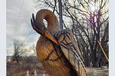 924 Larch Dr, Windsor, CO 80550 - Photo 32